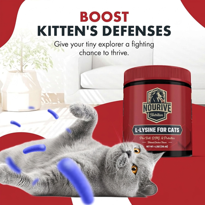 L-Lysine for Cats and Kittens