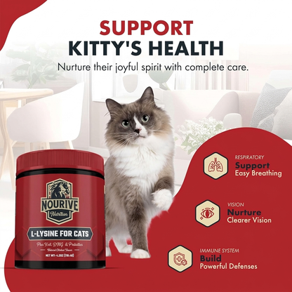 L-Lysine for Cats and Kittens