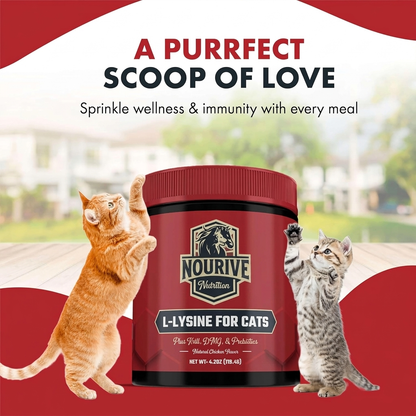 L-Lysine for Cats and Kittens